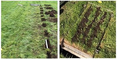 The Survival of Salmonella Senftenberg, Escherichia coli O157:H7, Listeria monocytogenes, Enterococcus faecalis and Clostridium sporogenes in Sandy and Clay Loam Textured Soils When Applied in Bovine Slurry or Unpasteurised Digestate and the Run-Off Rate for a Test Bacterium, Listeria innocua, When Applied to Grass in Slurry and Digestate